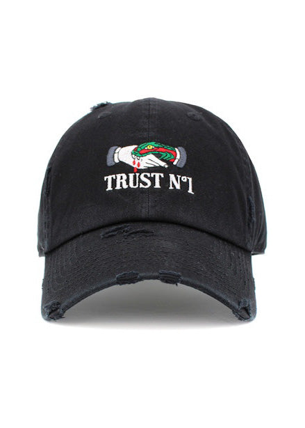 Trust No 1 Dad Hat